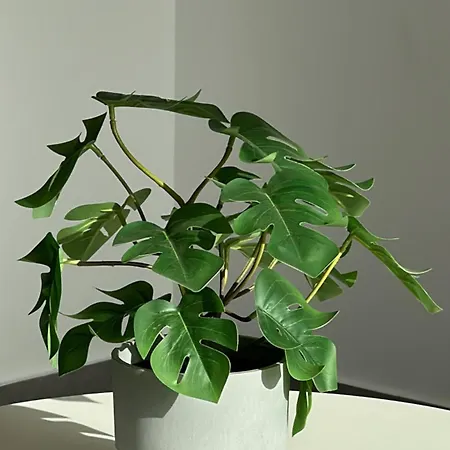 Sunsets Sur Ponderosa Playa de las Americas (Tenerife)